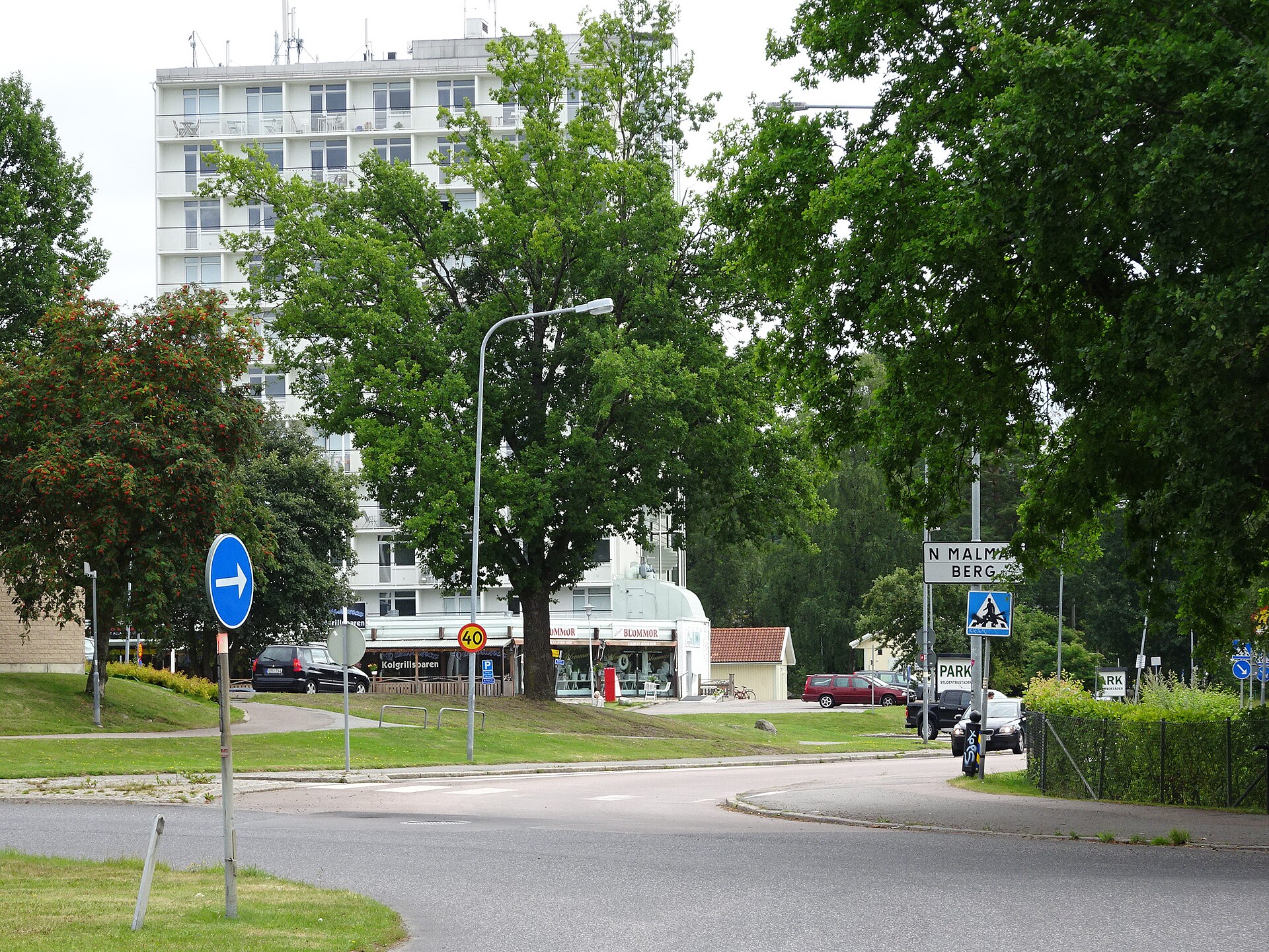 Gatukorsning med skylten N Malmaberg, ett höghus i vitt och butiker i bottenvåningen bakom stora ekar